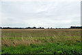 Field east of Heath Road, Tendring Heath in CO16 0BD