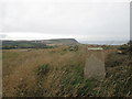 Hinderwell Beacon trig point in TS13 5LF