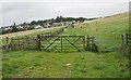 Gates across the track in G63 9RG