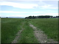Farm track (footpath) off the A68 in DL14 0BW