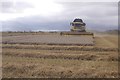 Barley harvest, Carmyllie in DD11 2RJ