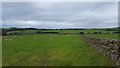 Farmland near Rascarrel in DG7 1RH