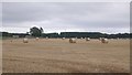 Bales and stubble, Kirkton of Monikie in DD5 3QN