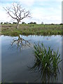 Lancaster Canal near Yew Tree Farm in PR4 0BE
