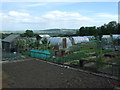 Allotments, Hunter's Hill in DL14 0LD