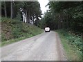 Forest Road leading back to Glentress Forest Visitor Centre in EH45 8NA