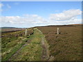 Gate/straining posts on Commondale Moor in YO21 2HU