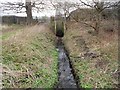 Hersham: Surface water outfall by Paul Vanson Court in KT12 4JL
