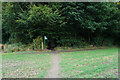 Path enters Gulling Wood in S65 4RQ
