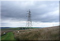 Rough grazing and pylon off Jackson Heights Road in BB3 3QQ