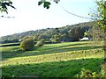 Farm buildings from Red Lane in SY21 8AR