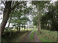 Track to Swain's Lane Cottage in DT6 5QN