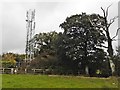 Telecoms mast on Kit Hill in BA22 9PH