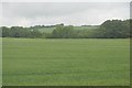Field by A379 in PL21 9JX