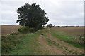 Footpath near Housham Hall in CM17 0PB
