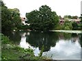 Pond off Springwood Street, Ramsbottom in BL0 9AH