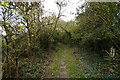 Path leading to Doles Lane in Sitwell Ward