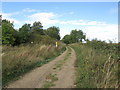 Byway towards Coston in Buckminster