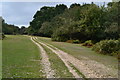 Track near Stoney Cross in SO43 7GN