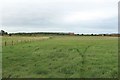 Grass field east of Rock in NE66 3SB