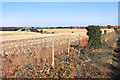 Stubble Field near Margate in CT9 5NJ