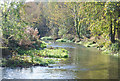 River Allen in the Crichel Estate in BH21 7HH