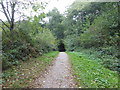 Path around Bewl Water in TN5 6EU