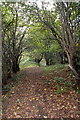 The path down to Stoke Ford in Highlow
