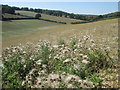 Dry valley between Asheridge and Chartridge in HP5 2UX