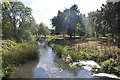 The River Loddon by Whistley Bridge in RG5 4FF