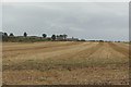 Stubble east of Wisplaw in NE66 3RU