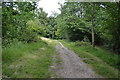 Footpath, King's Wood in HP13 7XU