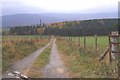 Track from Greystone in AB34 5LX