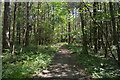 Bridleway, Pembury Walks in TN11 0QB
