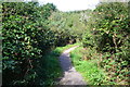 Footpath in nature reserve, Milford on Sea in SO41 0PB