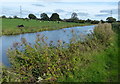 Lancaster Canal near Park Head in PR4 0BE