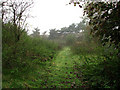 Footpath to Gunstead's Carr in Wheatacre
