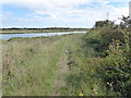 The Saxon Shore Way alongside Milton Creek in ME10 3NB
