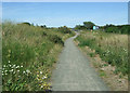 Cycle path beside the A688 in DL14 9BA