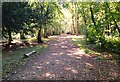 Path on Deadwater Valley LNR, Bordon, Hampshire - 170918 in GU35 9RG