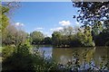 Fishing Lake at Hall Farm in CM5 9PR