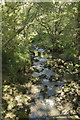 A stream in Coombes Valley in ST10 2JS