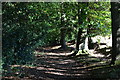 Footpath into Squabb Wood in SO51 6ZB