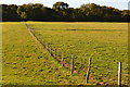 Fence across fields near Hilberry Farm in SO51 0ED