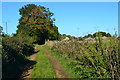 Track to Hilberry Farm in SO51 0ED