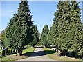 Avenue of yew trees in Southern Cemetery in NG2 7JQ