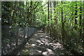 Footpath, Forest Wood in TN2 4NP