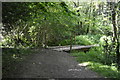 Footbridge, Forest Wood in TN2 4NP
