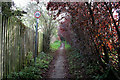Narrow Lane, Stathern in Stathern