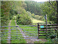 Footpath to Abercorris Quarry in SY20 9BT